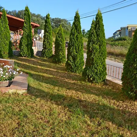 فندق Svetlana بايالا