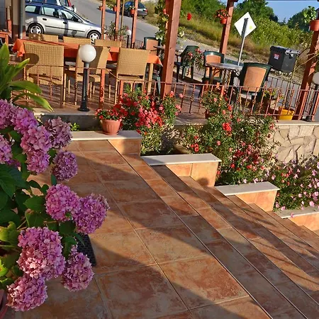 Svetlana 2* بايالا